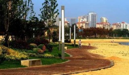 威海爆料最新消息,揭秘事件背后真相