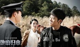 归来卧底在线观看,揭秘卧底警察的生死较量